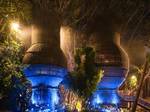 Coqoon Spa is redefining the ultimate spa experience with eight luxurious rooms nestled in the backdrop of rich luscious rainforest and tropical gardens