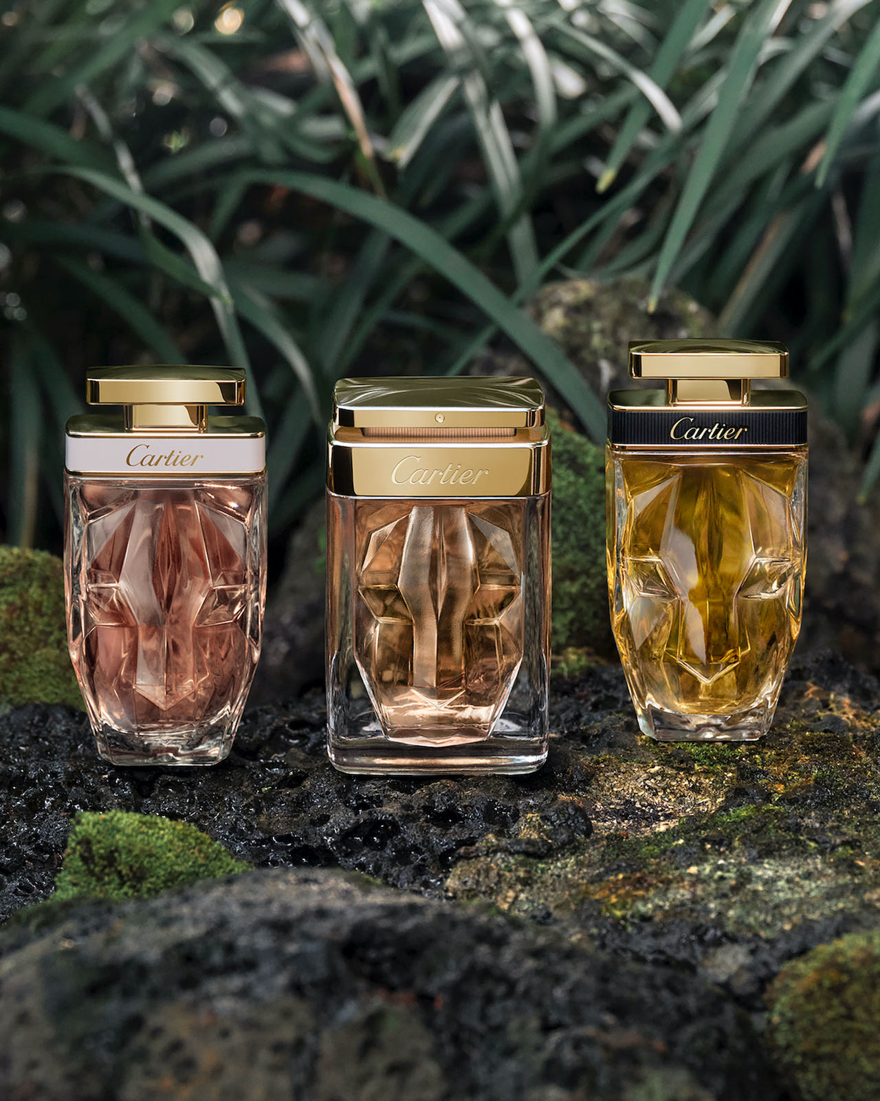 cartier fragrances for her