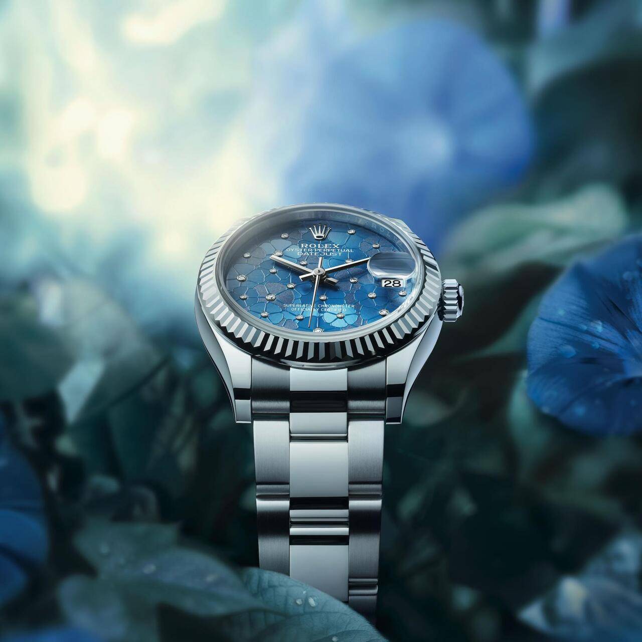 New Rolex Oyster Perpetual Datejust 31 