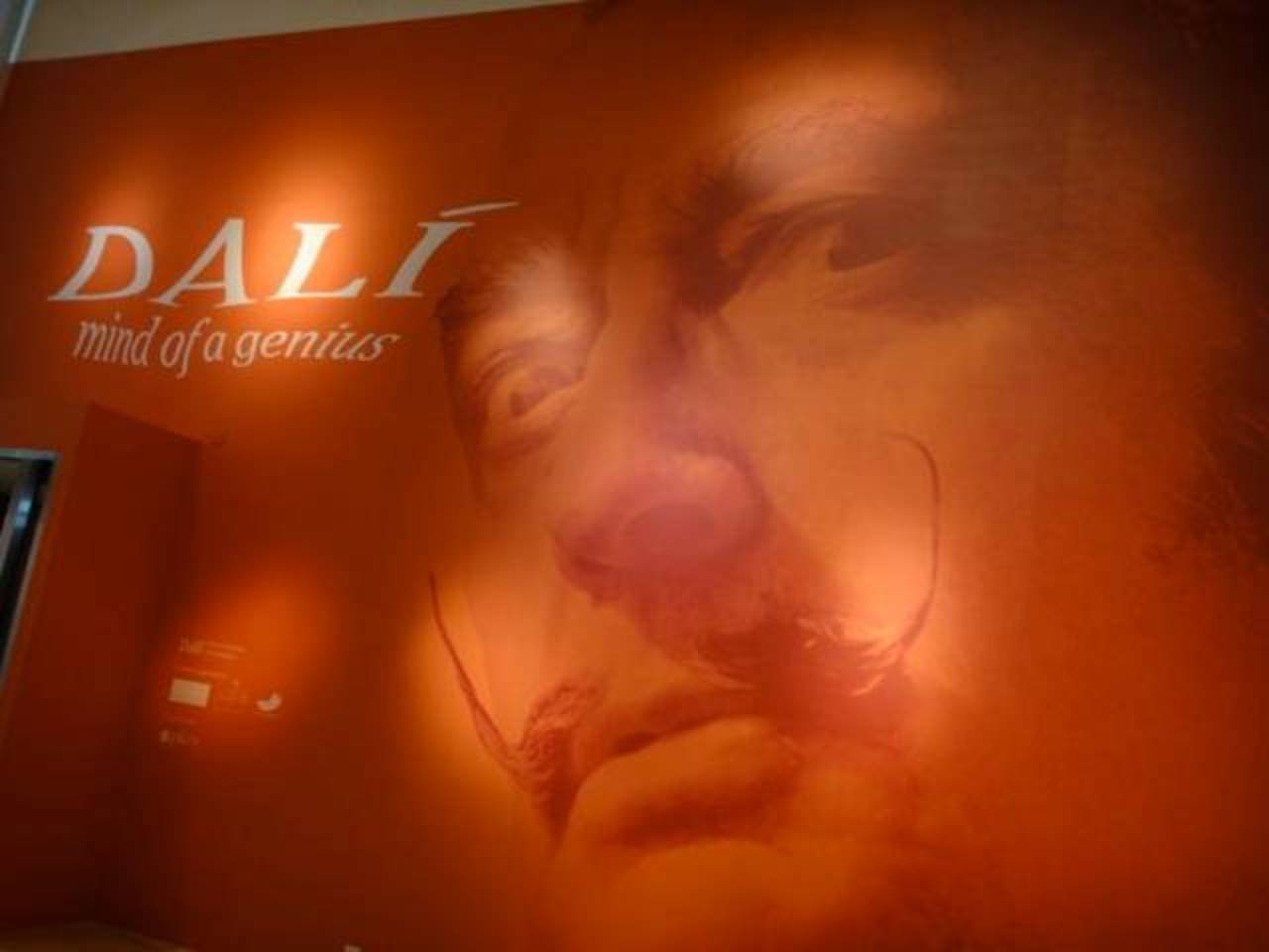 Salvador Dalí Mind of Genius Amazon.com: Dali Dimension: Decoding the Mind of a Genius