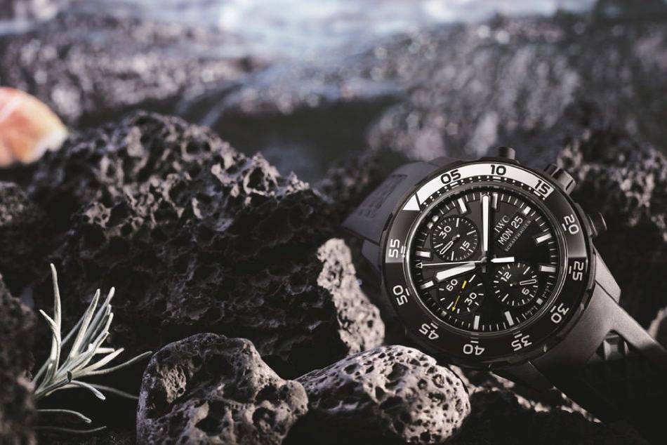 IWC Schaffhausen is proud to support the Charles Darwin Foundation