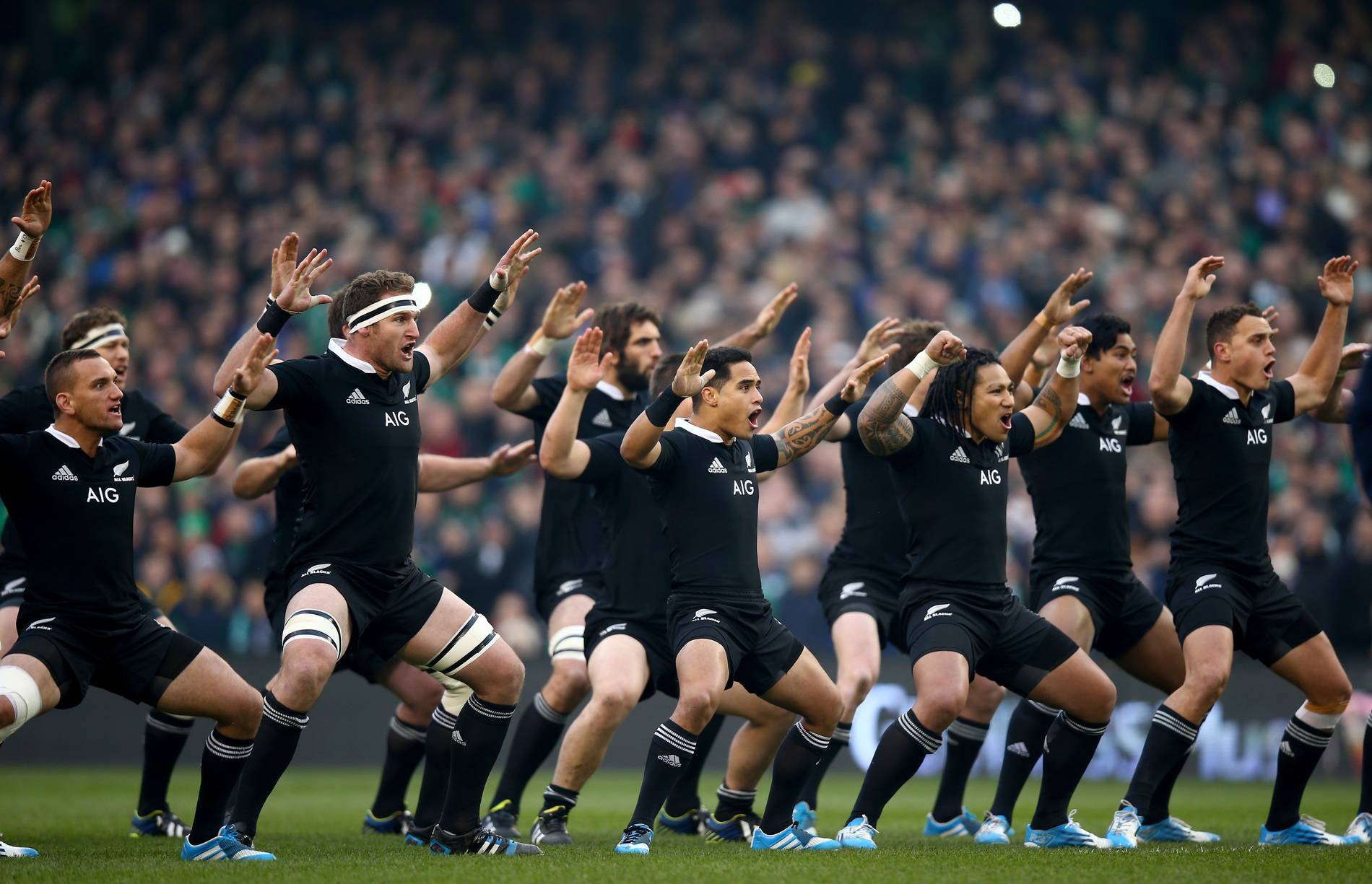 The Haka & the All Blacks | SENATUS